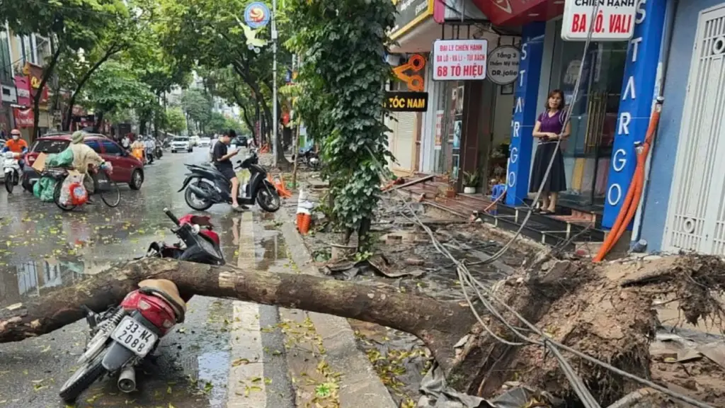 Mưa giông khiến cây đổ đè người ở Hà Nội, Yên Bái