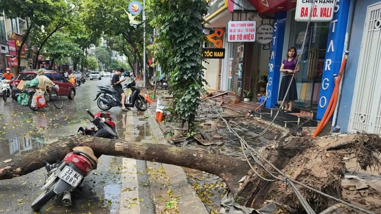 Mưa giông khiến cây đổ đè người ở Hà Nội, Yên Bái