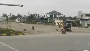 Thanh niên tử vong vì vướng dây cáp điện