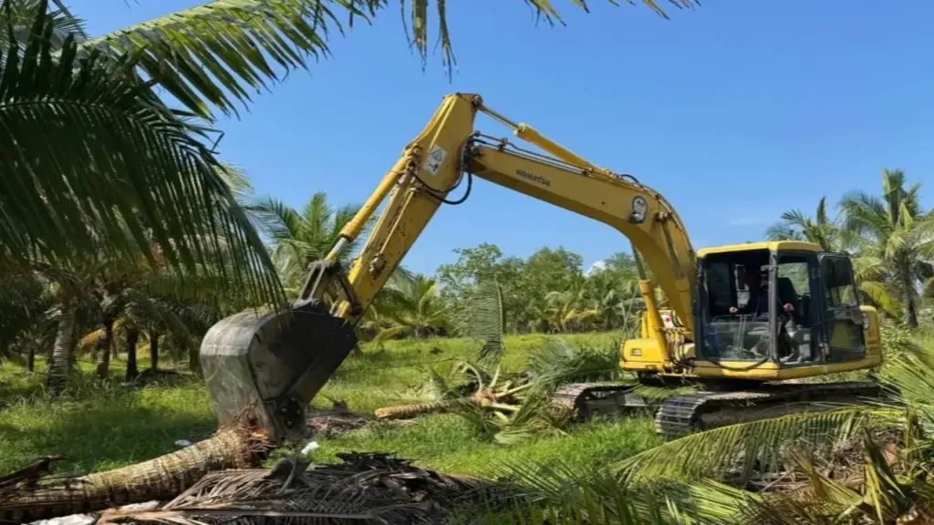 Thu hồi hơn 9.300m2 đất rừng bị lấn chiếm để phục vụ dự án APEC 2027