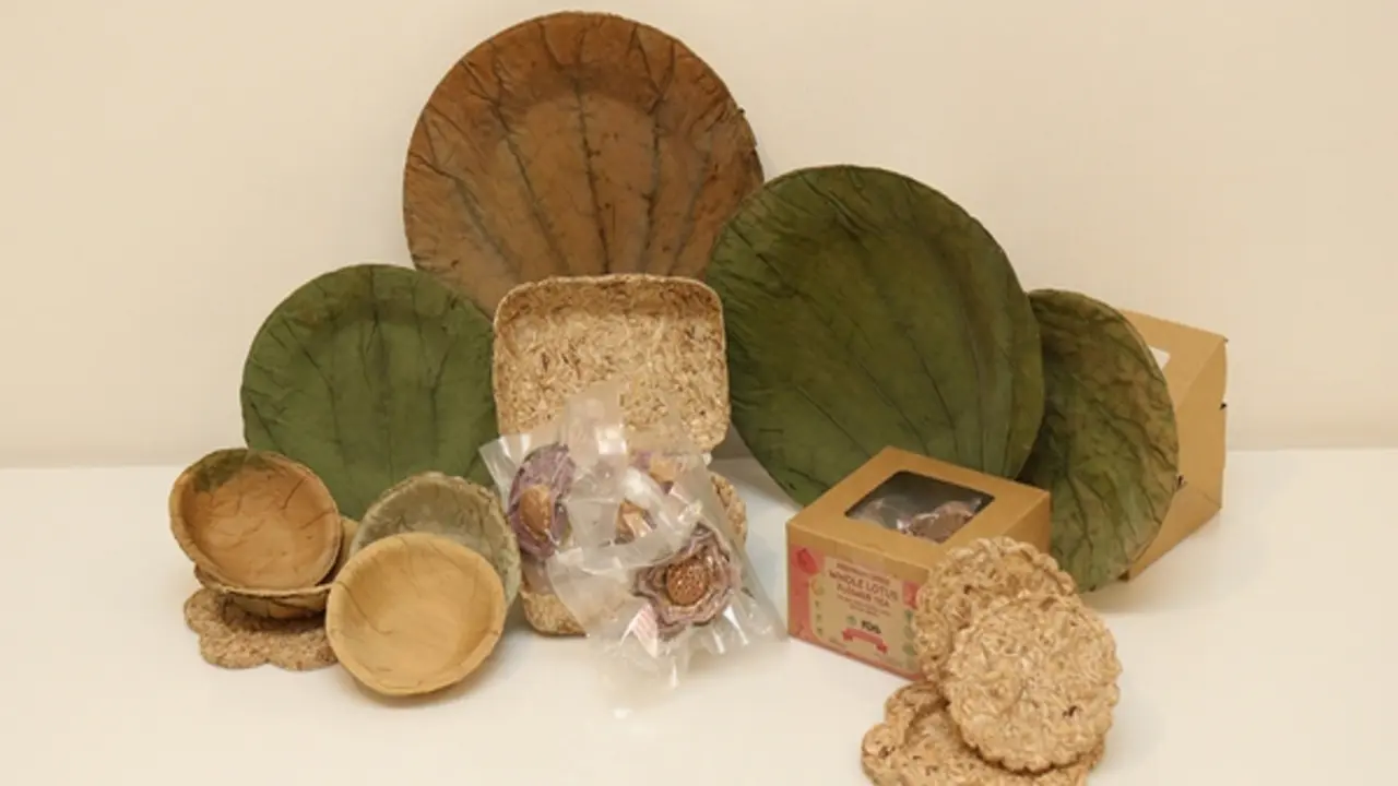 Bao bì sinh học từ lục bình: Giải pháp khởi nghiệp của nhóm sinh viên Cần Thơ