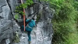 Cơn sốt săn lùng cây muội hồng chơi cảnh