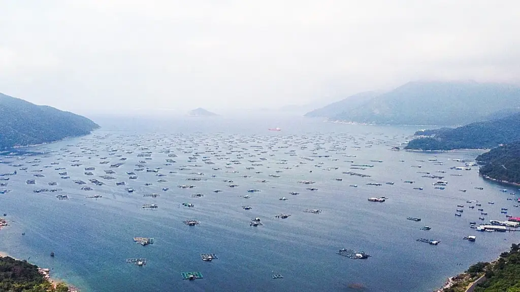 Di dời hơn 37.000 bè nuôi tôm hùm, cá ở vịnh Vũng Rô