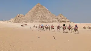 Đi khắp thế giới mà không cần bay