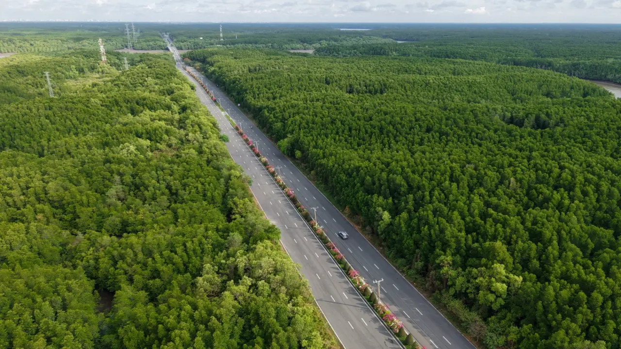 Đường xuyên rừng Cần Giờ trước đề xuất mở rộng lên 10 làn