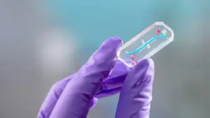 NASA gửi 'chip nội tạng' phi hành gia Artemis II lên vũ trụ để làm gì?