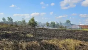 Người phụ nữ 62 tuổi tử vong khi đi đốt đồng