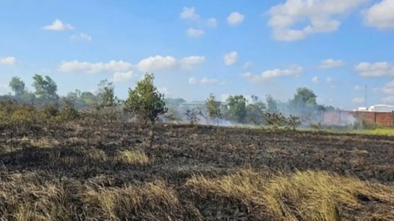 Người phụ nữ 62 tuổi tử vong khi đi đốt đồng