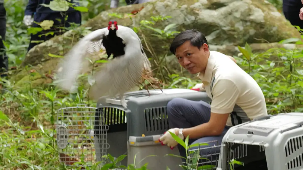 Thả về tự nhiên gần 200 động vật rừng