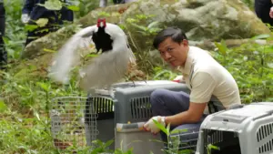 Thả về tự nhiên gần 200 động vật rừng