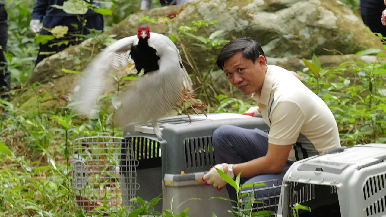 Thả về tự nhiên gần 200 động vật rừng