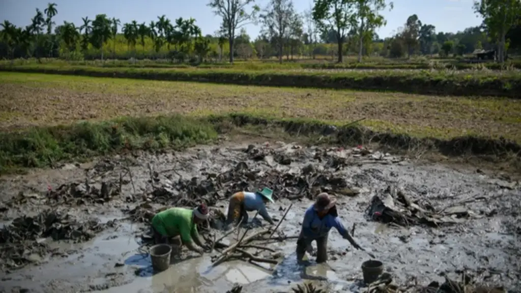 Thái Lan tăng tiền trợ cấp cho hơn 13 triệu dân