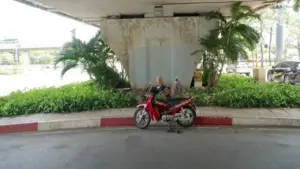 TP.HCM nóng hầm hập: Bóng cây, gầm cầu thành điểm dừng chân tránh nắng, nghỉ trưa